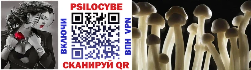 Галлюциногенные грибы мицелий где можно купить это наркотические препараты Городец
